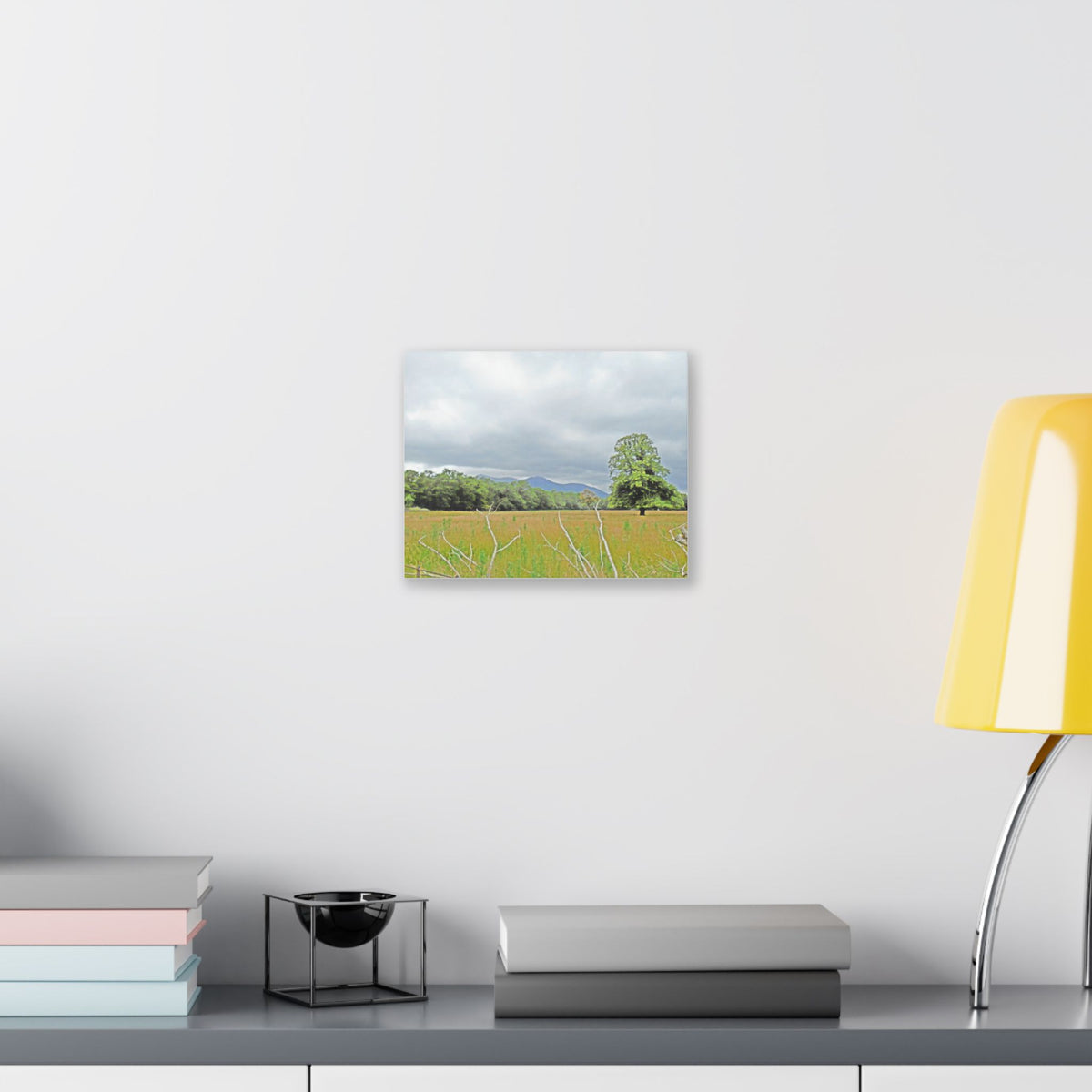 Landscape Canvas Print — Tranquil Field with Lone Tree Wall Art